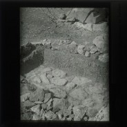 Böhl glass slide 41./2286